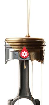 Lubricant advisor